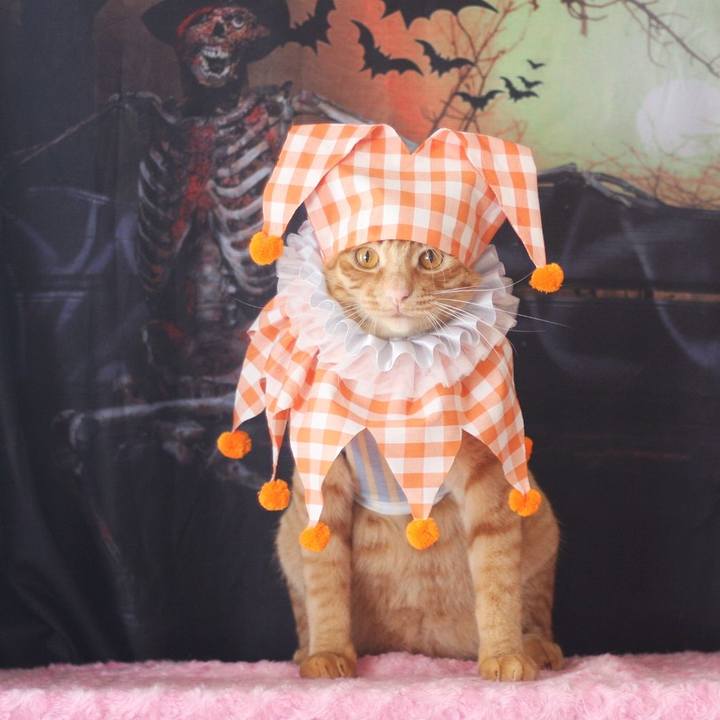 F2b70dae 9788 4ae6 8cb9 e91fa542461d 1695888538942