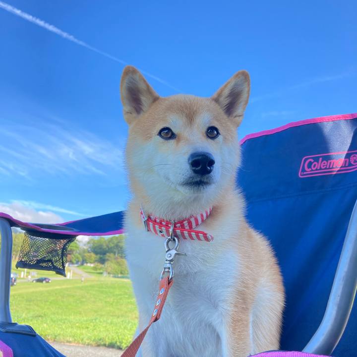 F2b76968 8a21 4994 83f6 730eb2b08a00 1662879674784