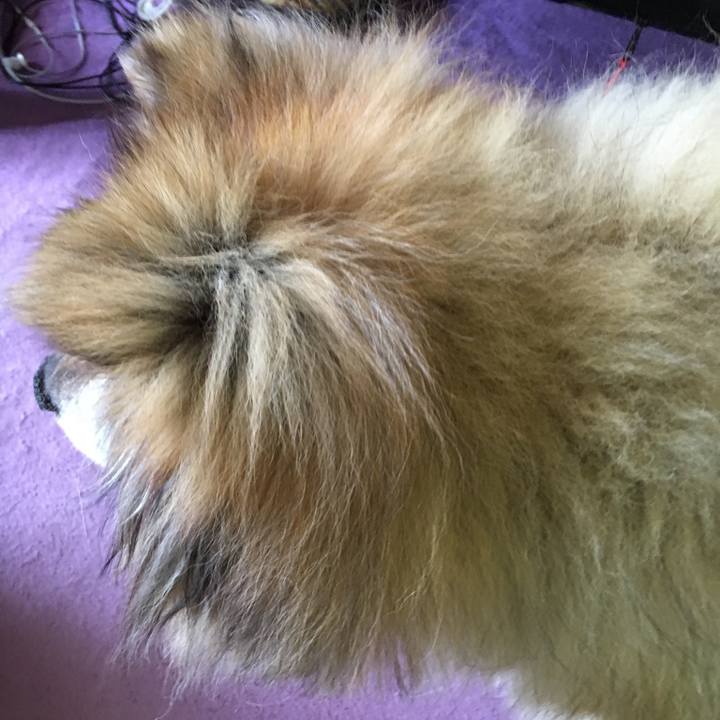 F2b77599 8f7f 461a b03e 8c4db3d867a6 1576656376365