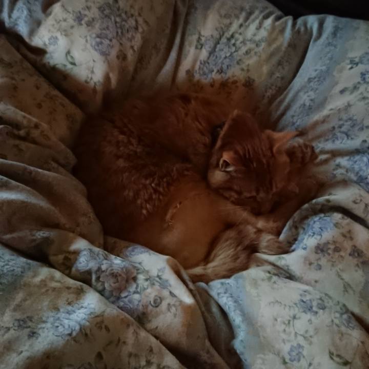 F2b77629 8ca5 4eb2 8123 84085c54ae3f 1653944214471