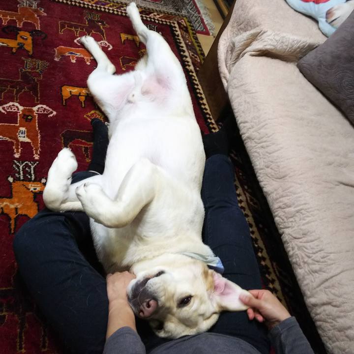 F2b79f42 f971 4b82 afc6 90665f95b19f 1583149183730