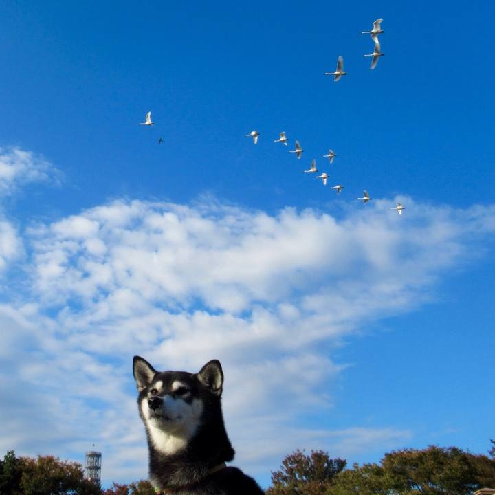 F2b7a82f f8ef 4543 933c 7866cbc16fdc 1605260234053