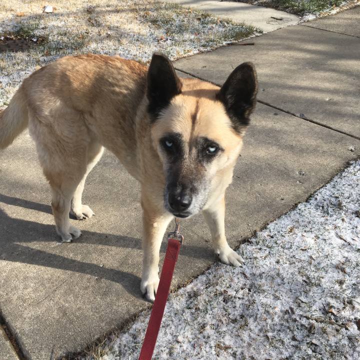 F2b815d8 562b 4a39 bd7a d57d4b18d5d8 1522850564227