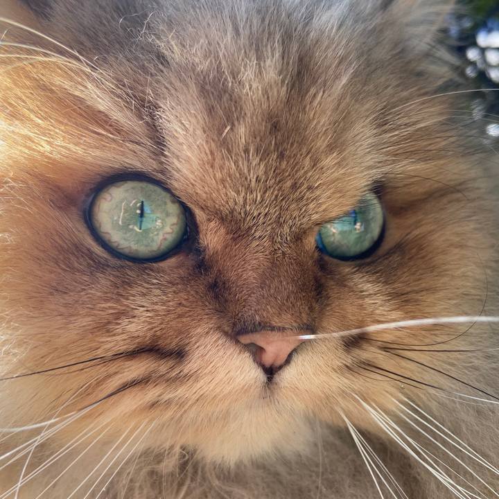 F2b8503b be20 4a75 8e82 e611fec6d473 1580530392751