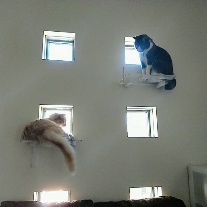 F2b854e2 fb37 4b64 9ecf ec1beb9071bd 1626597944822