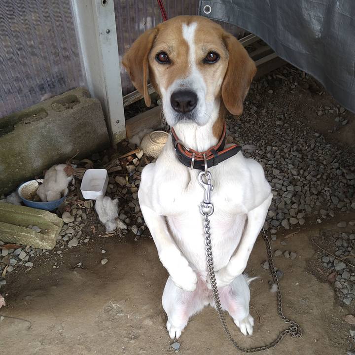 F2b85f93 568c 4425 8378 043c53497766 1644829541131