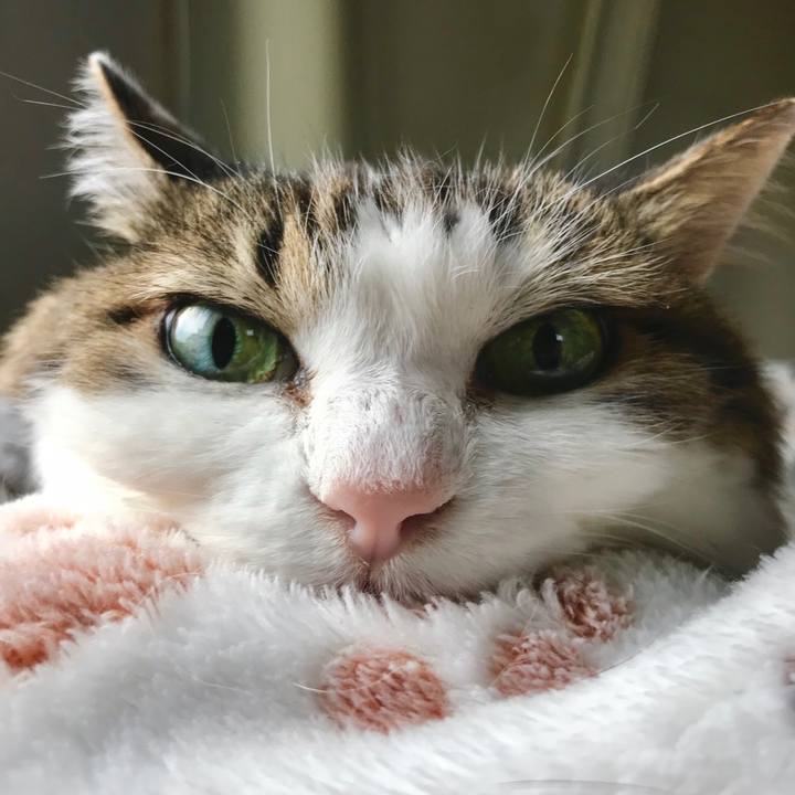 F2b8745d bdcd 43dc 9019 fd5bdde08436 1575638214880