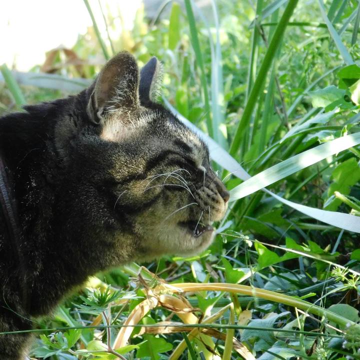 F2b87862 19b8 4e98 84b9 7c12ec498f4a 1557039394768