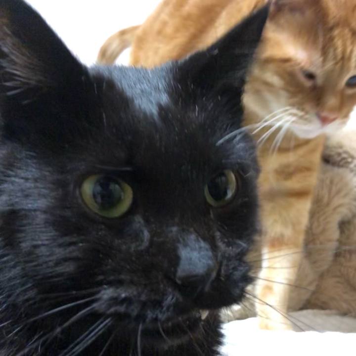 F2b8a468 2c7a 43ea 83df dcf6e22520a1 1644750087066