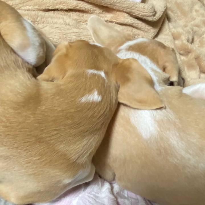 F2b8b0f1 50b5 4735 b2ae 19e87c7acfb5 1575273305529