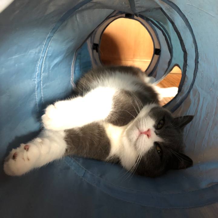 F2b8b455 1016 4f59 a288 2c84595dce3b 1591409244863