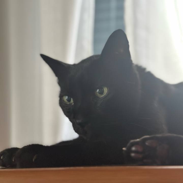 F2b8c686 f3fa 4970 b55c a5798012535b 1689558035115