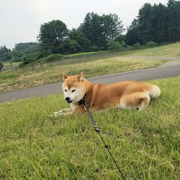 F2b8e27a 4310 4b29 bf1a c2e26cf7cfaf 1591343524224