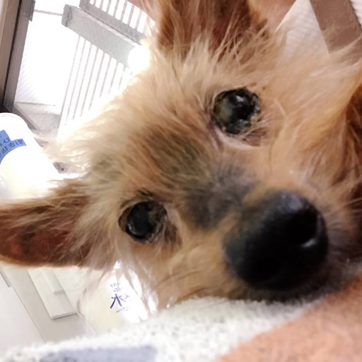 F2b90cec edc1 4969 8155 c5a95f21843c 1532745435806