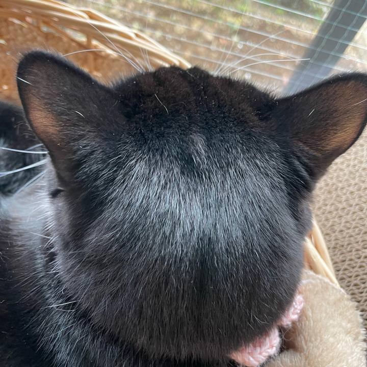 F2b916f8 5c95 40a7 9352 dba58d44cdcc 1667606385590