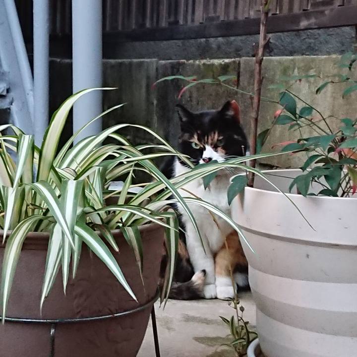 F2b917ec d92c 4502 8bc6 a5223f016e30 1674979311465