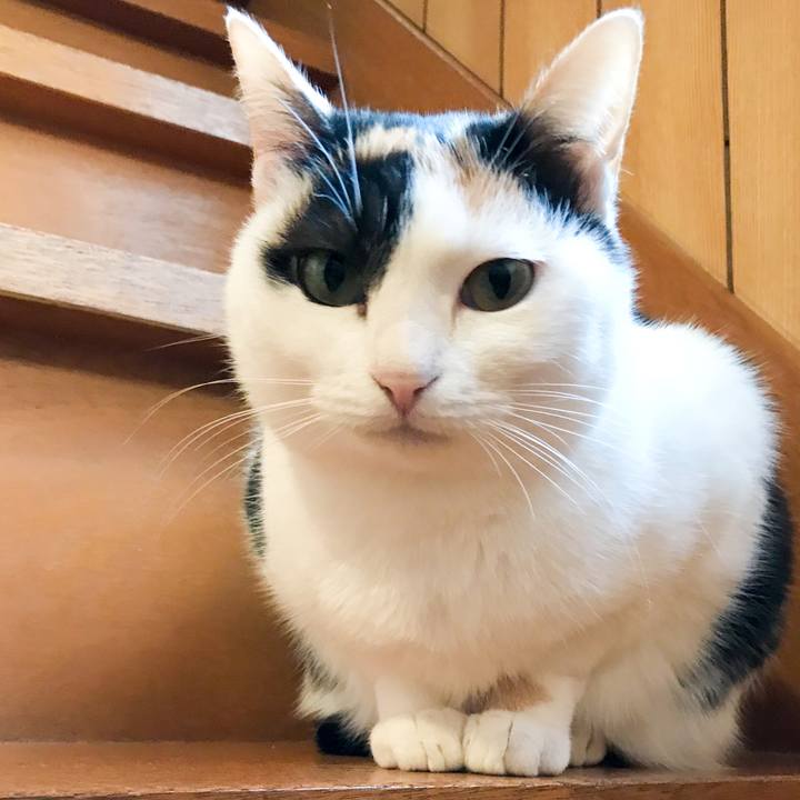 F2b932ed 1fa2 4c6d abc2 4b194652d27b 1518396425655