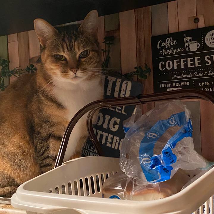 F2b93a6c 6af2 4387 80e1 883ec264b817 1585751903272