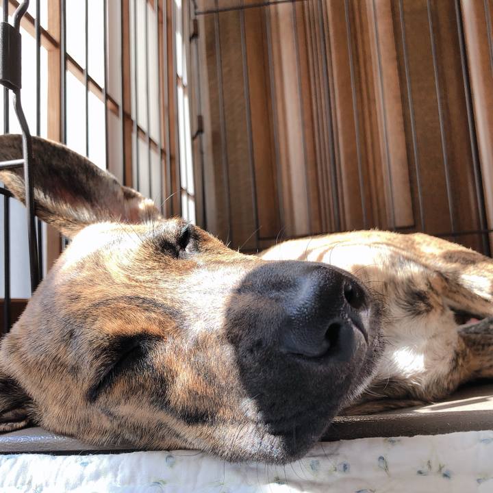 F2b94798 883e 41b4 85eb 14b59697e5f9 1572668559180