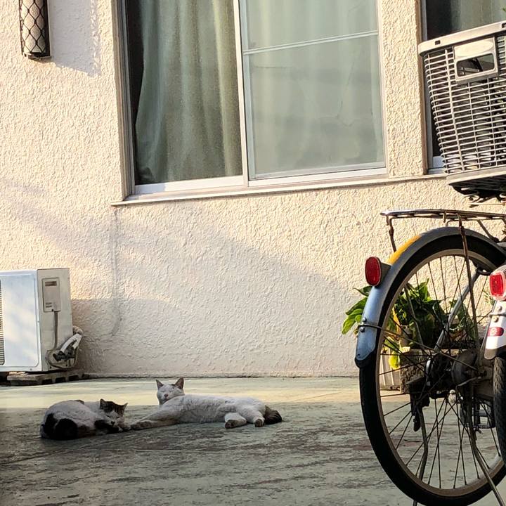 F2b94d9b e39e 4f8e baf6 a1421811435d 1522831716341