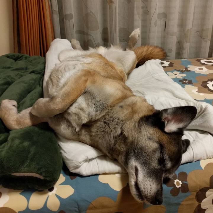 F2b95893 8cfa 4ae3 b8b9 bc7f87471010 1720222299797