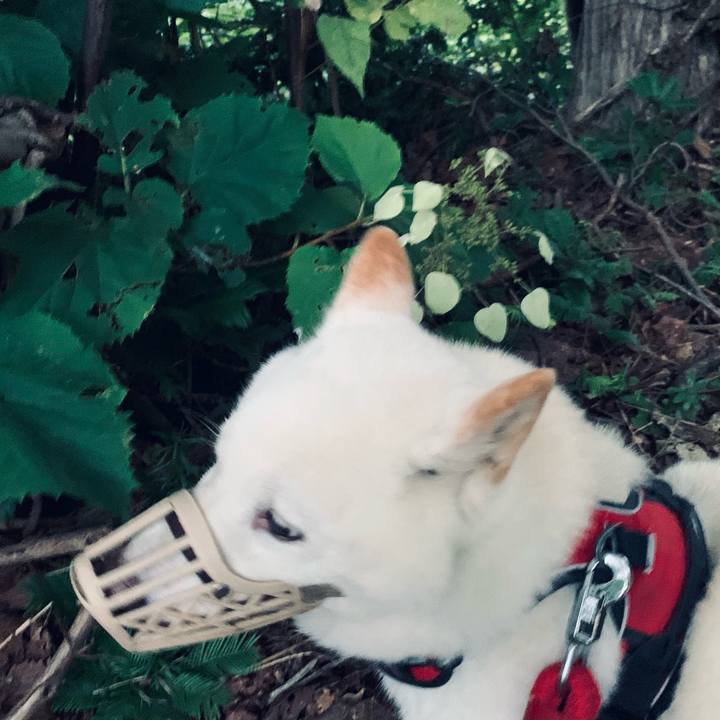 F2b965ab 01eb 474b 8a41 14c14520ebe8 1658952284071