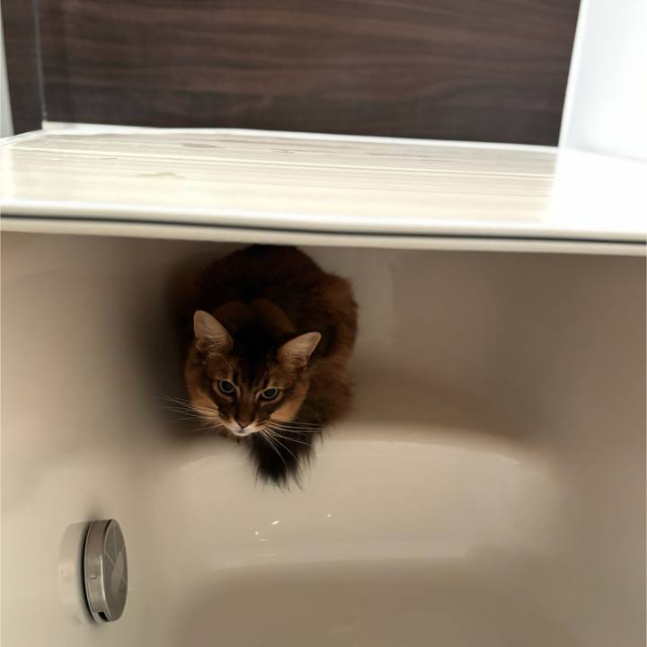 F2b9717d 20db 4c29 bc61 e376e863ac2b 1760265426033