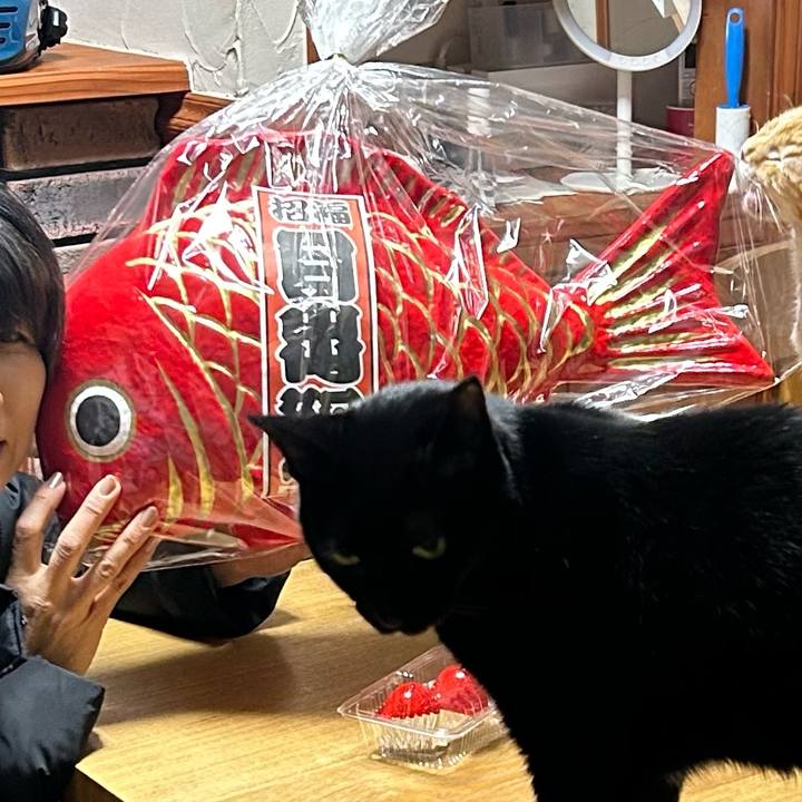 F2b97771 4bb9 468e a006 23dc0e5c662b 1673352759705