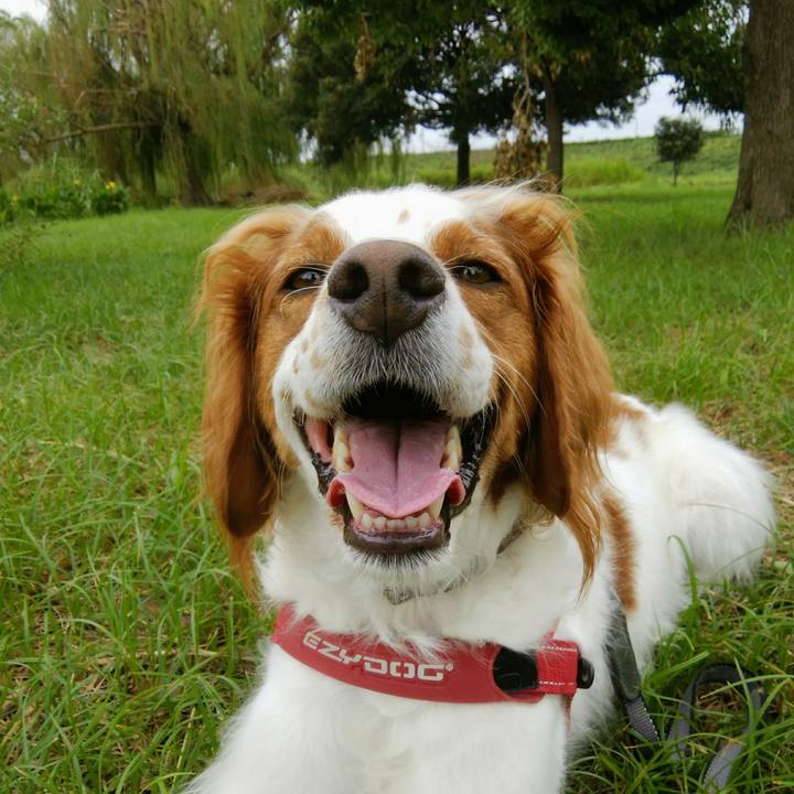 F2b9907d af63 46f6 8c1e 8080aecefb63 1536492731437