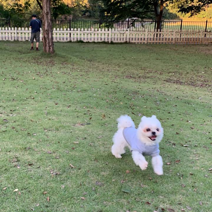 F2ba0122 d440 4815 b561 a03e1c891f89 1696606782125