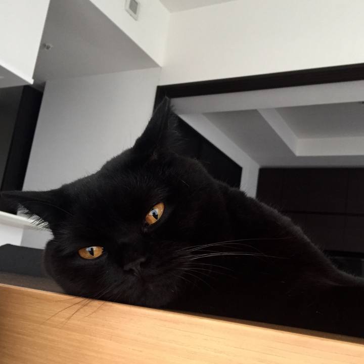 F2ba2482 0170 4aba 972b 2901ce403432 1535668231262