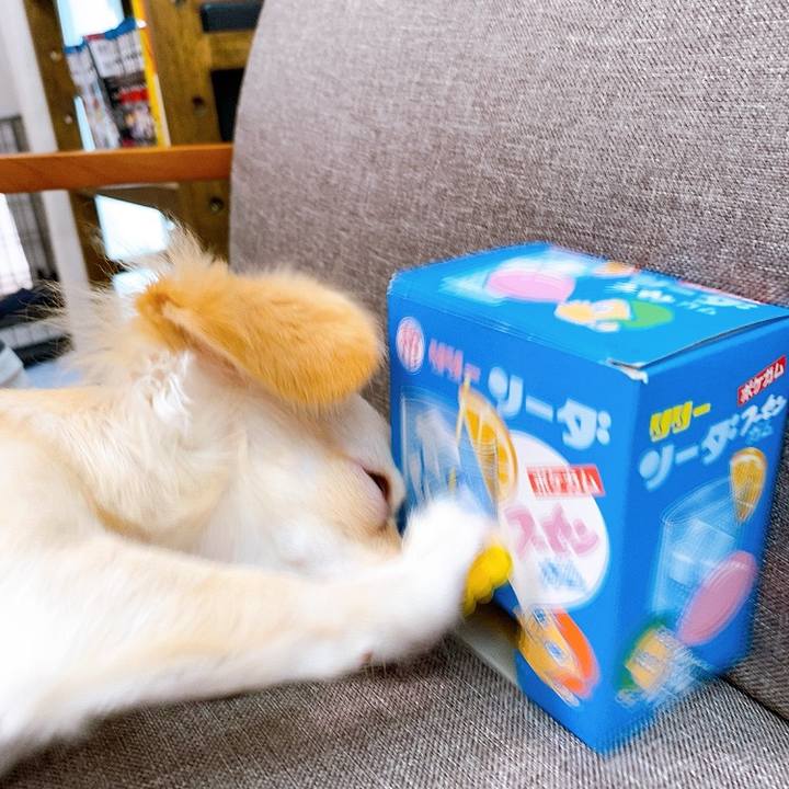 F2ba4289 c03f 4729 a89c d815b16d5141 1595126255794