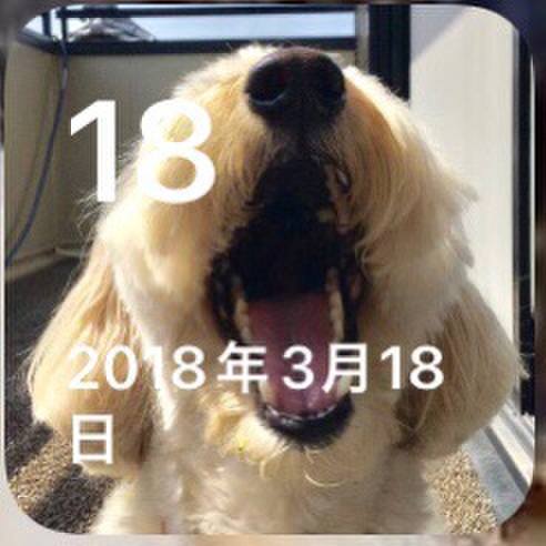 F2ba5a8b d9e5 40d5 8345 d5687bca3bb3 1679100702962