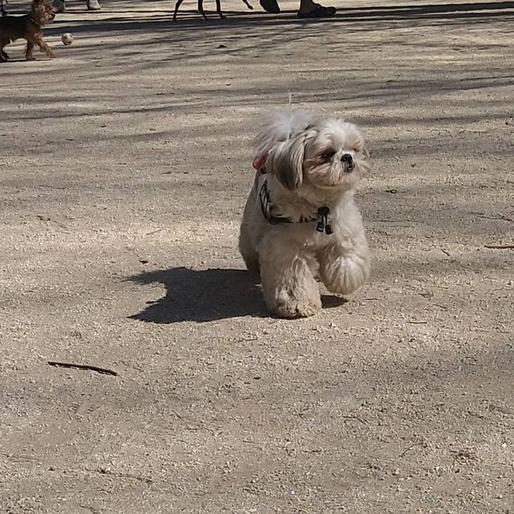 F2ba68f2 9084 43f8 8e64 03dcc0b527d2 1614511818100