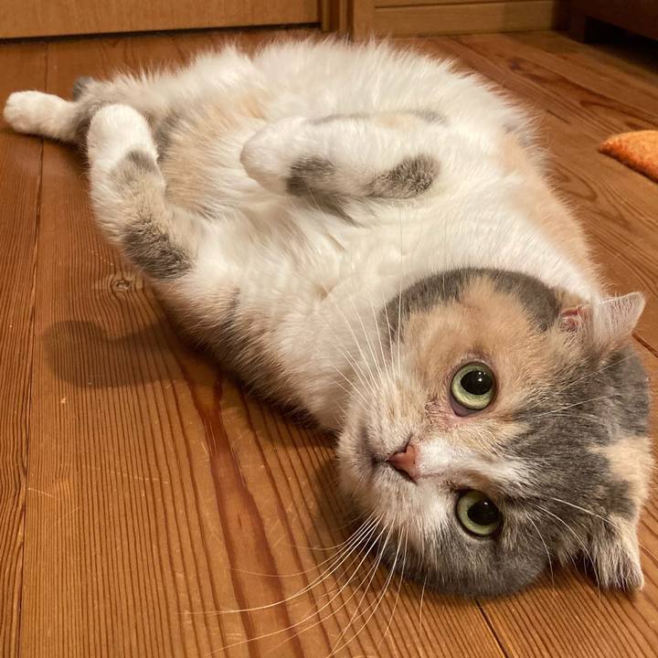 F2ba7308 2b70 4f9c a175 800a391b29d2 1628407220403