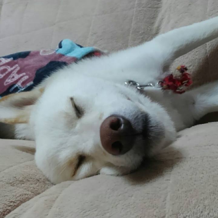 F2baf410 1934 493c b01b 93995985d91a 1523562407755