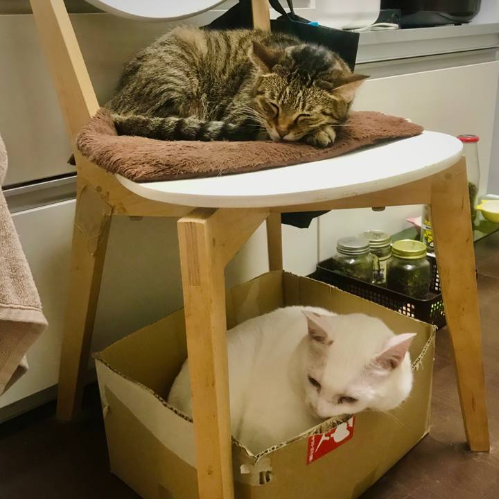 F2bb0d6b 3276 4f5a a74a 069c045f652f 1632658748928