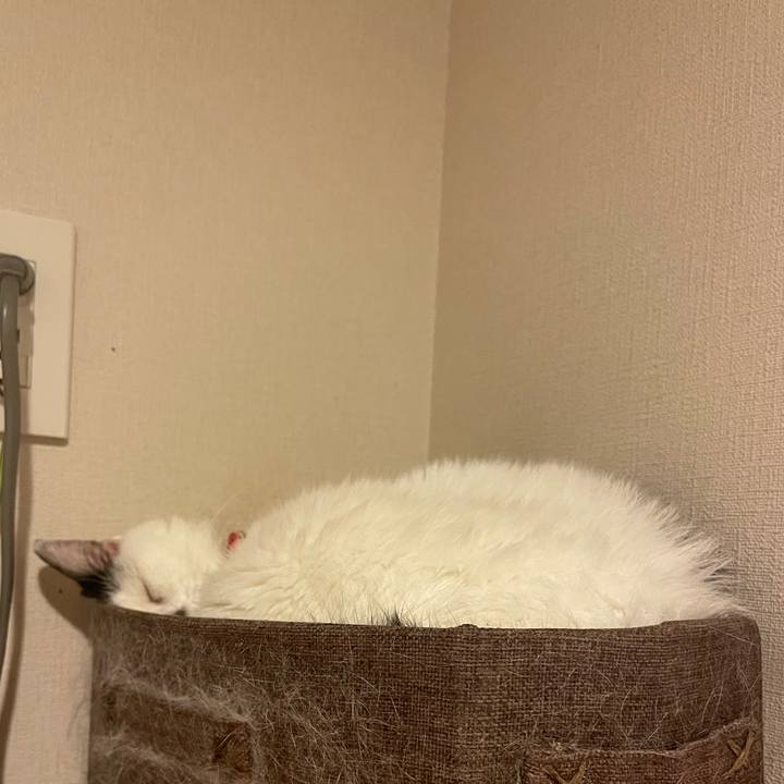 F2bb1f61 bc0b 4bbd bf68 34eb5adb85bd 1760702465624