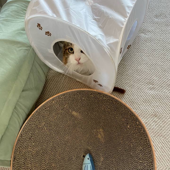 F2bb2728 f8f5 4701 8e76 e0c86321300d 1688500680457