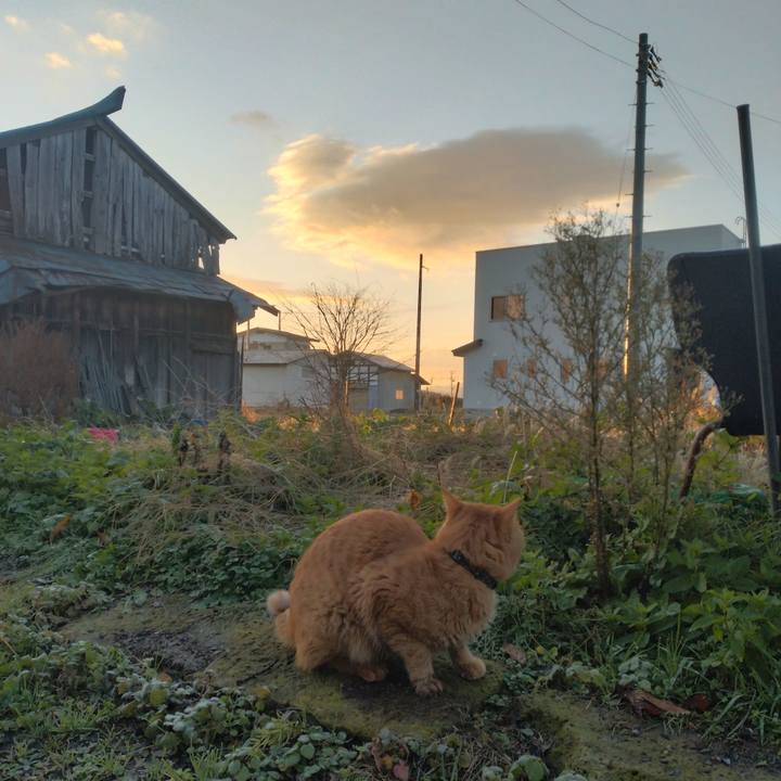 F2bb3cd8 8243 4ce3 882f 015ff5a76f1f 1669357414059