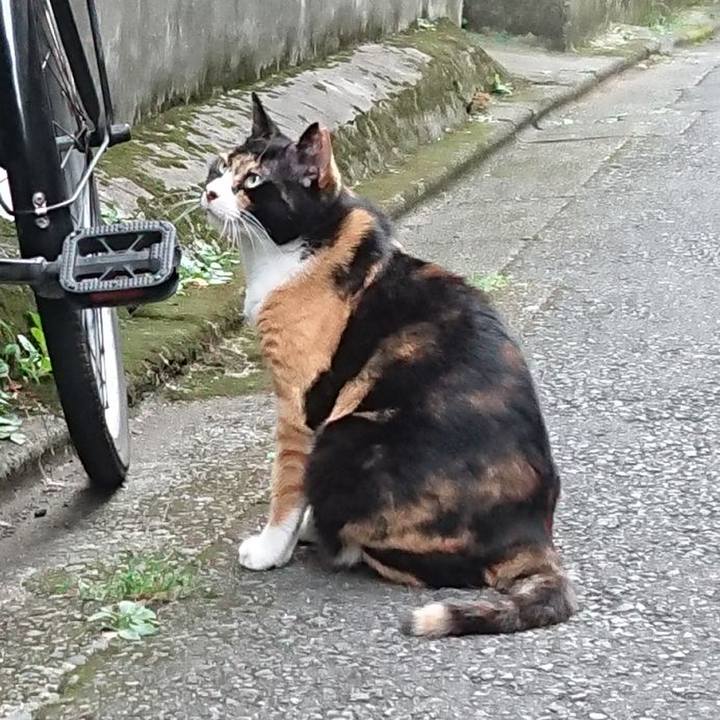 F2bb43d5 717b 42af bdef 9fd9f39c2cf8 1630226665511