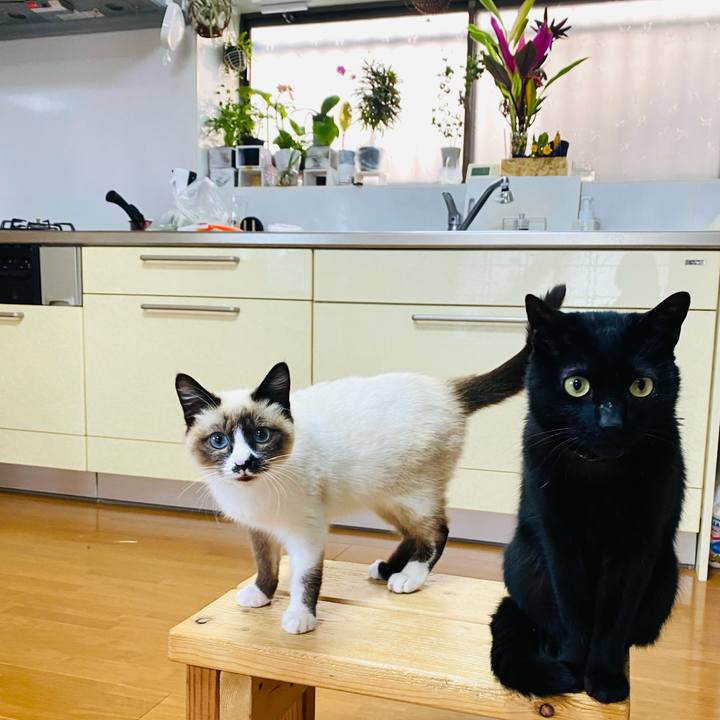 F2bb49a3 b591 4b5e a89b b3e82955563d 1682479037879