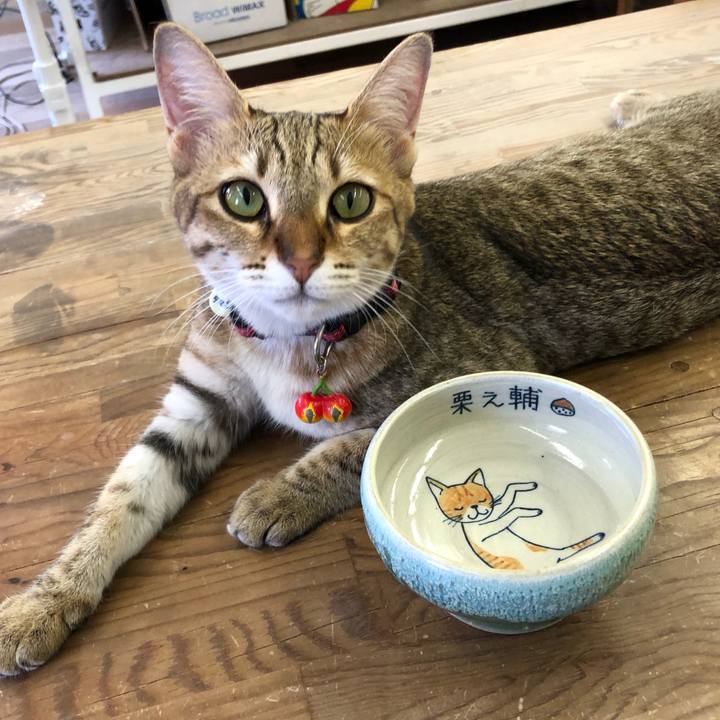 F2bb50e0 7e3e 4b83 8a76 73b07255dde3 1597901632633