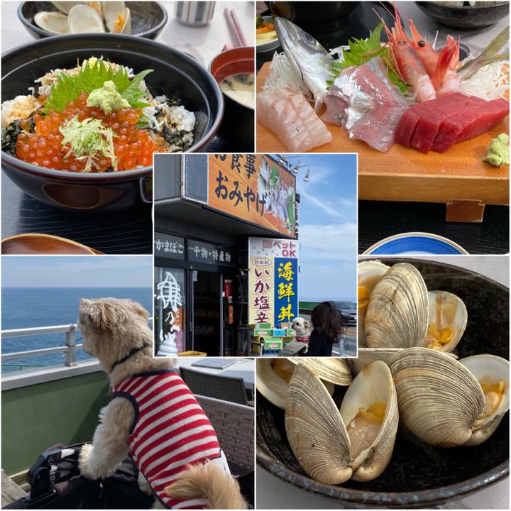 F2bb6017 9f9a 4dea 8750 94f8f51b289c 1583053002738