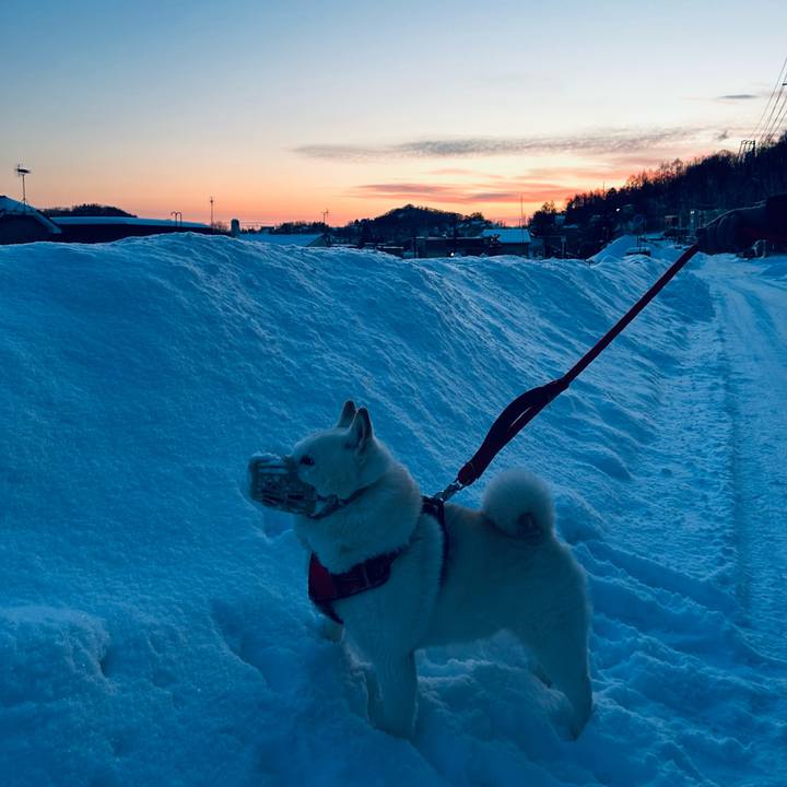 F2bb936b 4e38 4aee 814c 4bd5c959613b 1767737769087