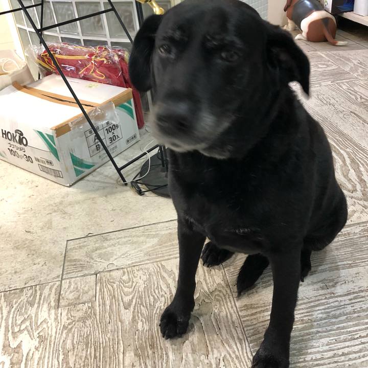 F2bbe0ae 00ed 4164 800d 019b200a2047 1560560573727