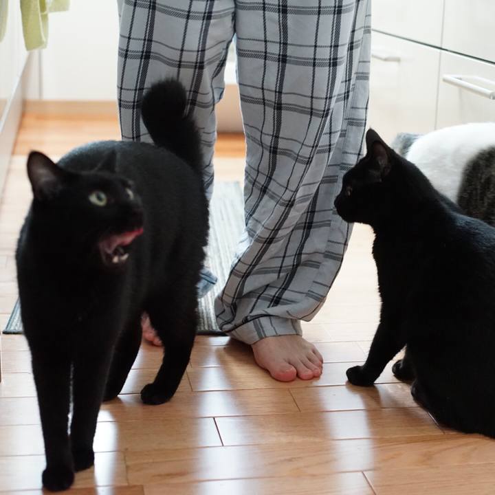 F2bc02f5 276b 49ca bebd df0b1dea04c4 1530056378030