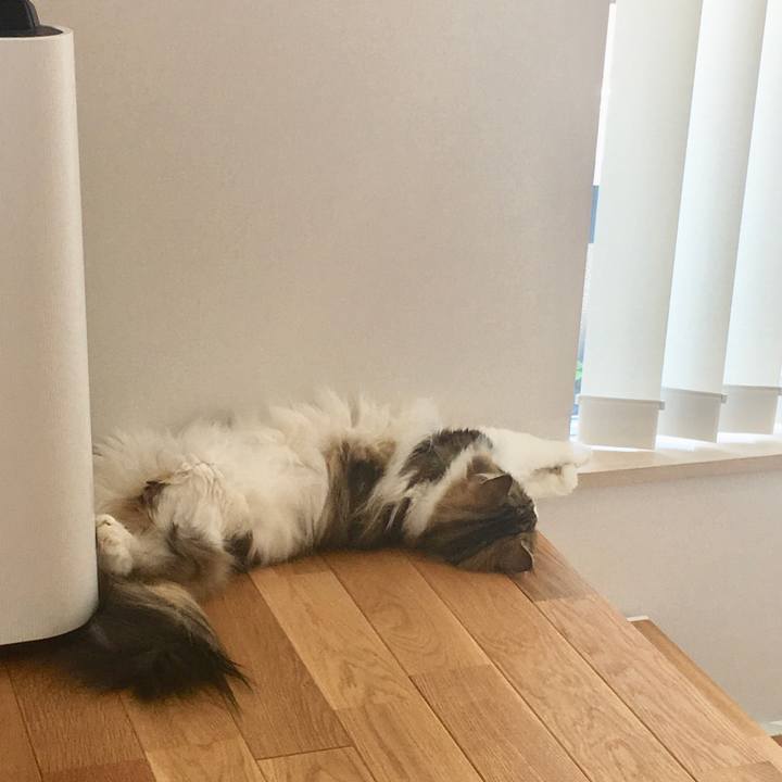 F2bc0528 71be 45c0 b5b6 5906df891960 1533174923419