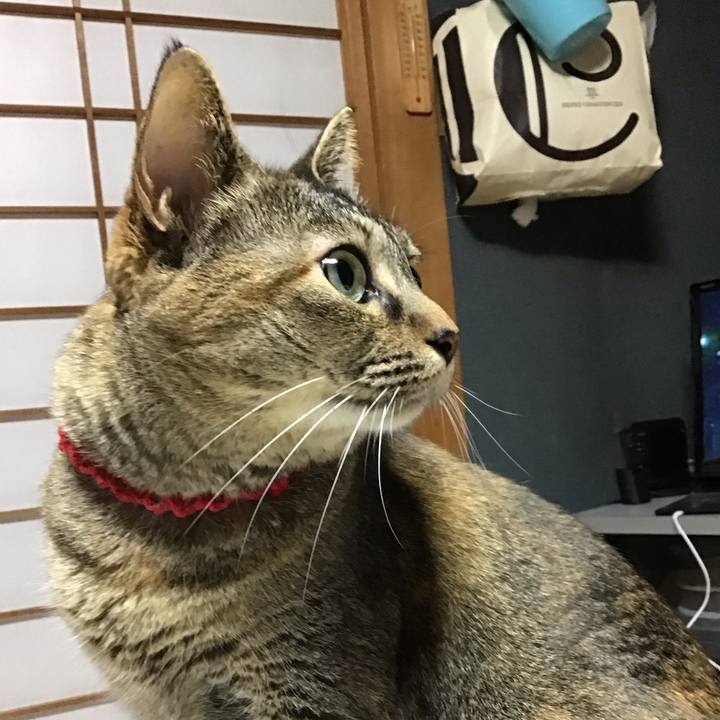 F2bc0722 45b8 465f a598 ae698b2996b9 1684839808818