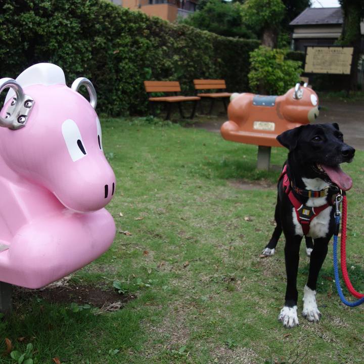 F2bc13ea 6d45 407b 8517 5dde91094c94 1593254863304